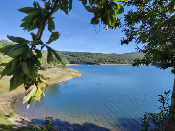 Terrain Constructible 38 euros le m2 à La Salvetat-sur-Agout