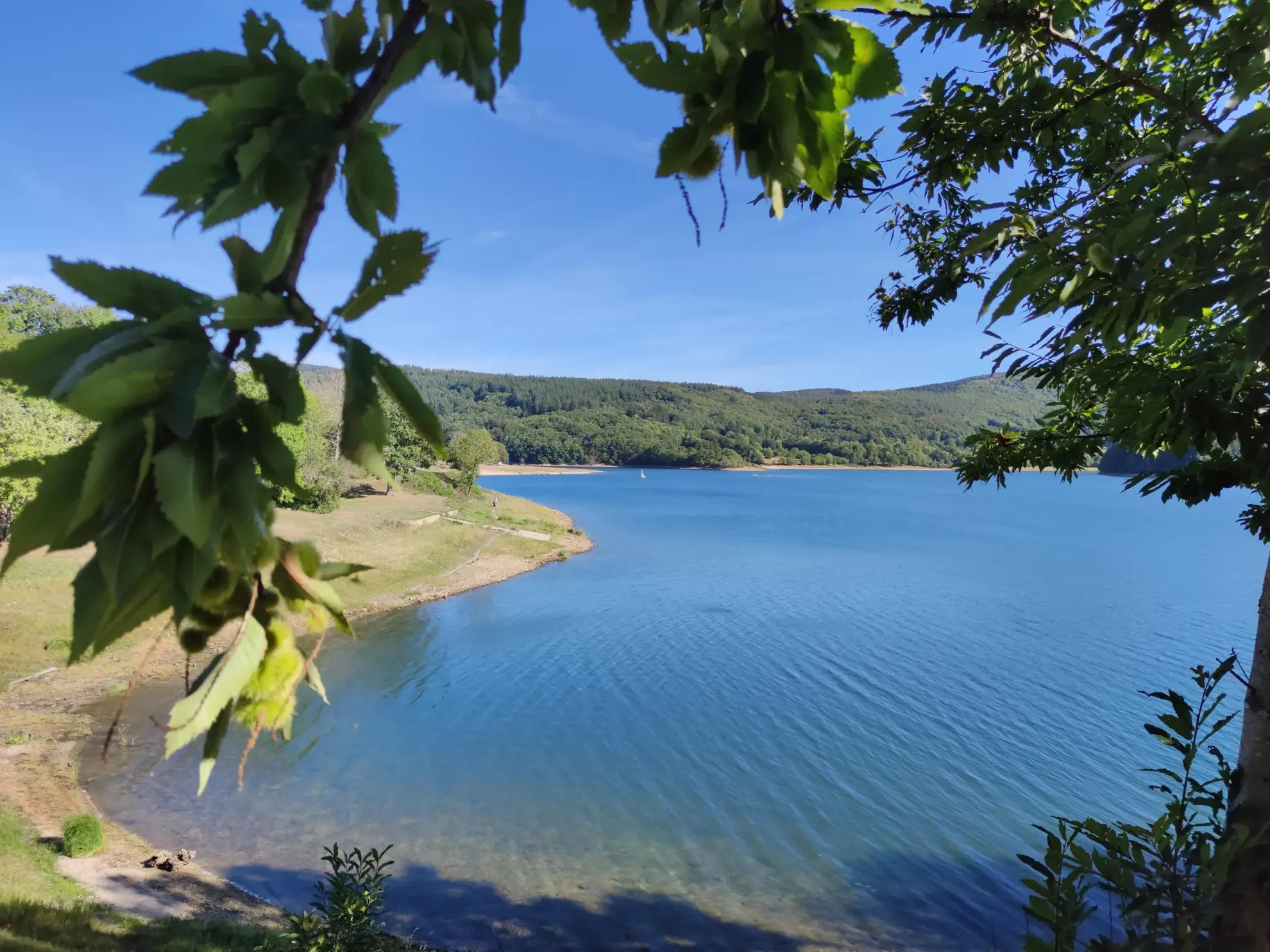 Terrain Constructible 38 euros le m2 à La Salvetat-sur-Agout 