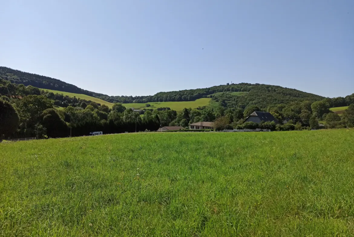 Terrain Constructible 38 euros le m2 à La Salvetat-sur-Agout 