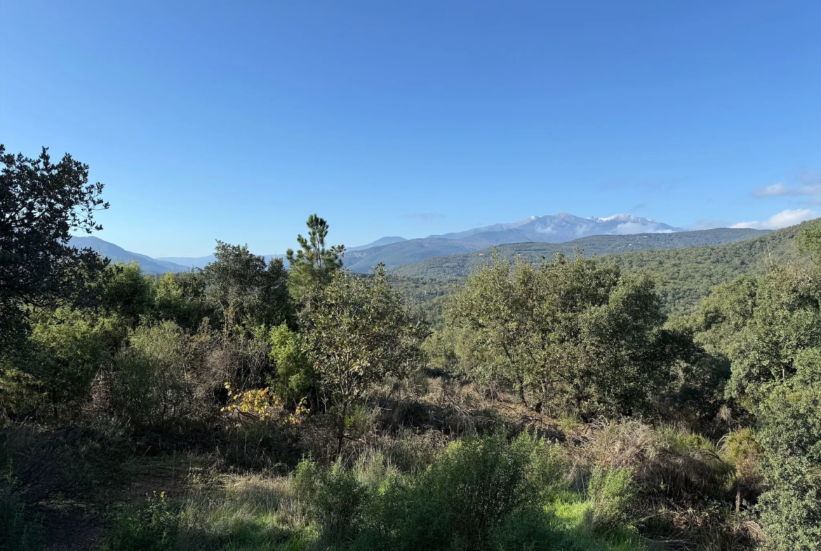 Terrain de Loisirs de 4745 m² à Céret 