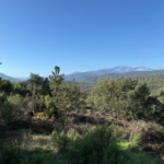 Terrain de Loisirs de 4745 m² à Céret