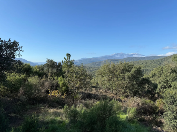 Terrain de Loisirs de 4745 m² à Céret