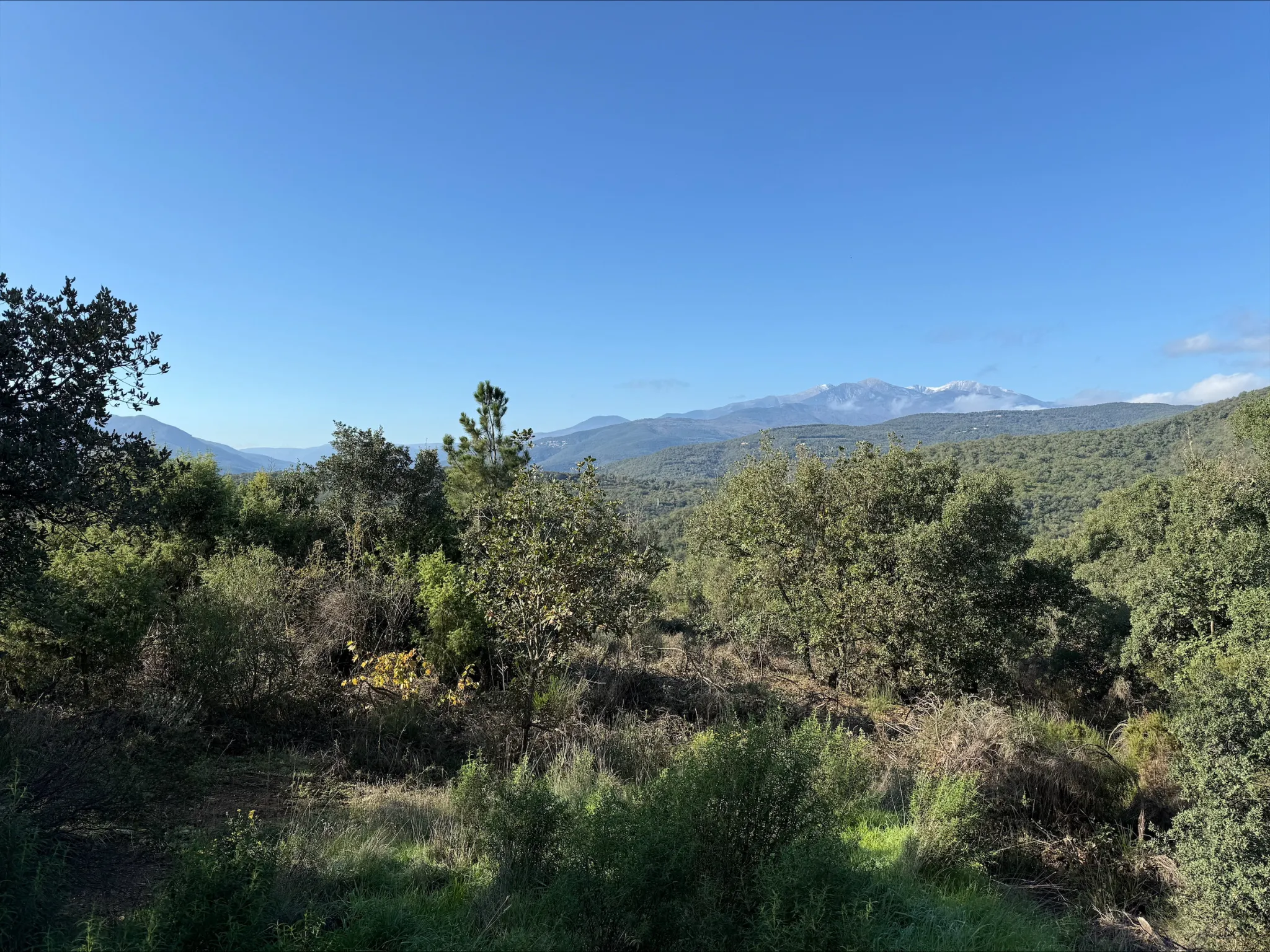 Terrain de Loisirs de 4745 m² à Céret 