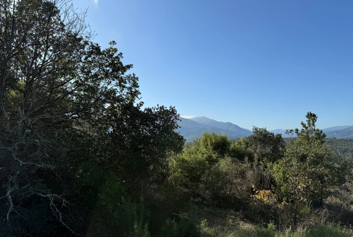 Terrain de Loisirs de 4745 m² à Céret 