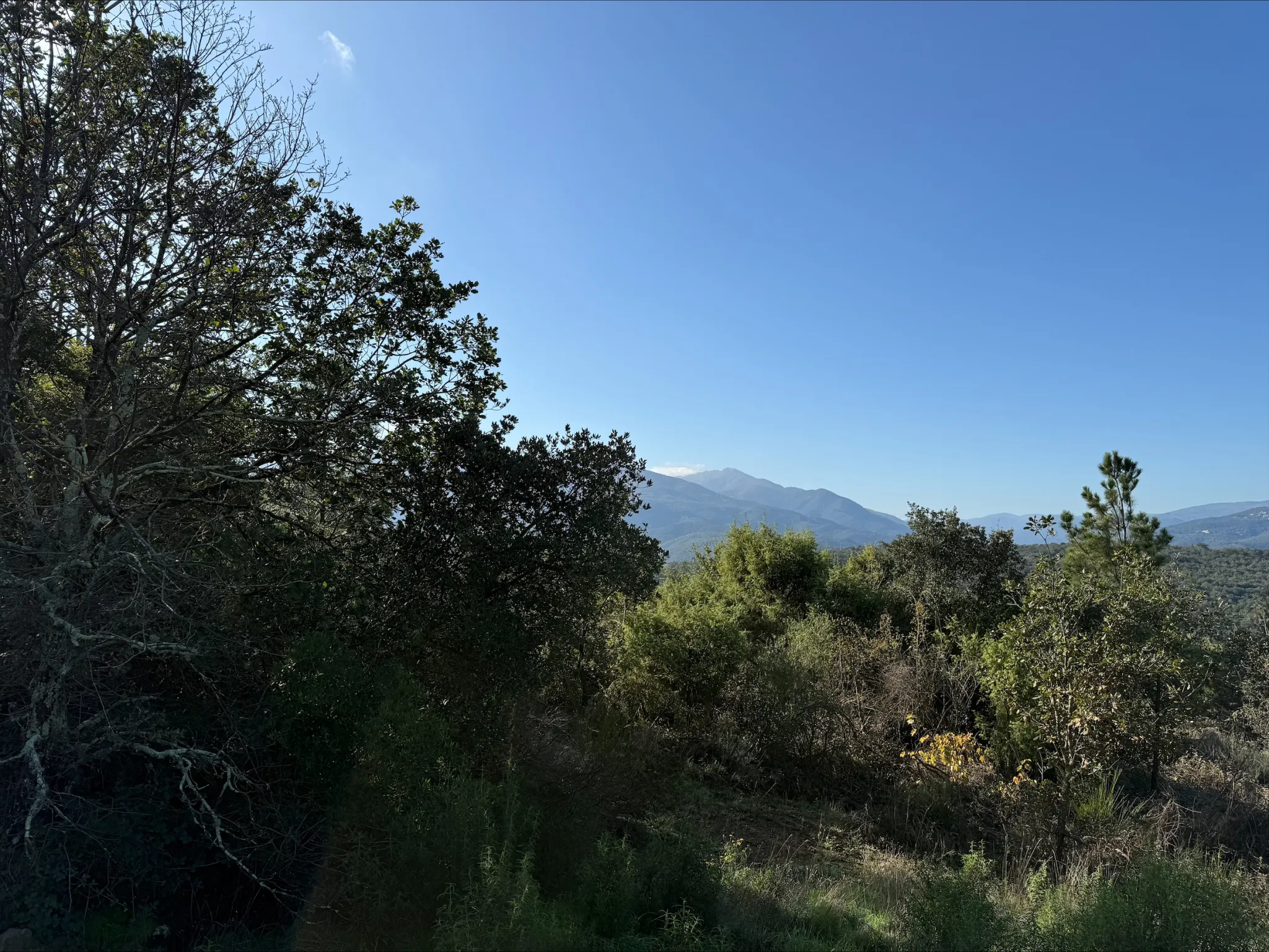 Terrain de Loisirs de 4745 m² à Céret 