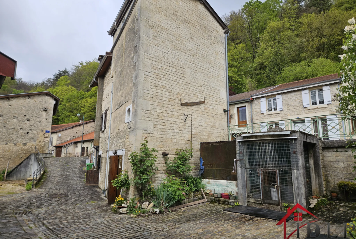 Maison atypique à vendre à Chevillon - Investissement idéal 