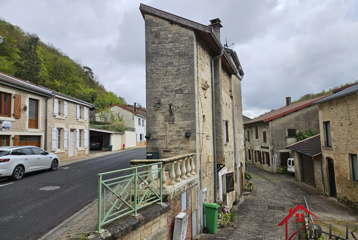 Maison atypique à vendre à Chevillon - Investissement idéal 