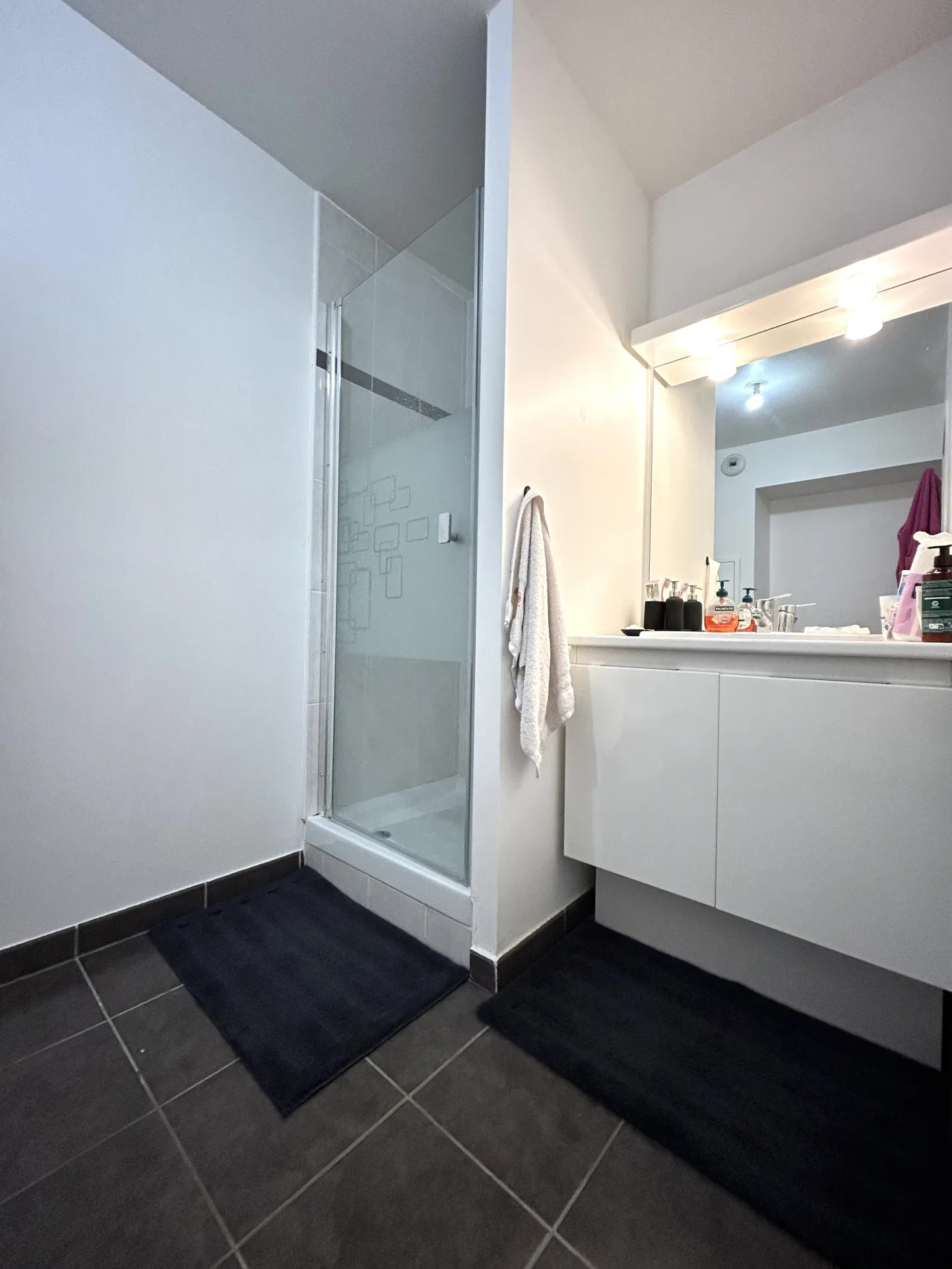 Appartement 2 pièces de 48 m² en plein centre-ville de Chelles à vendre 