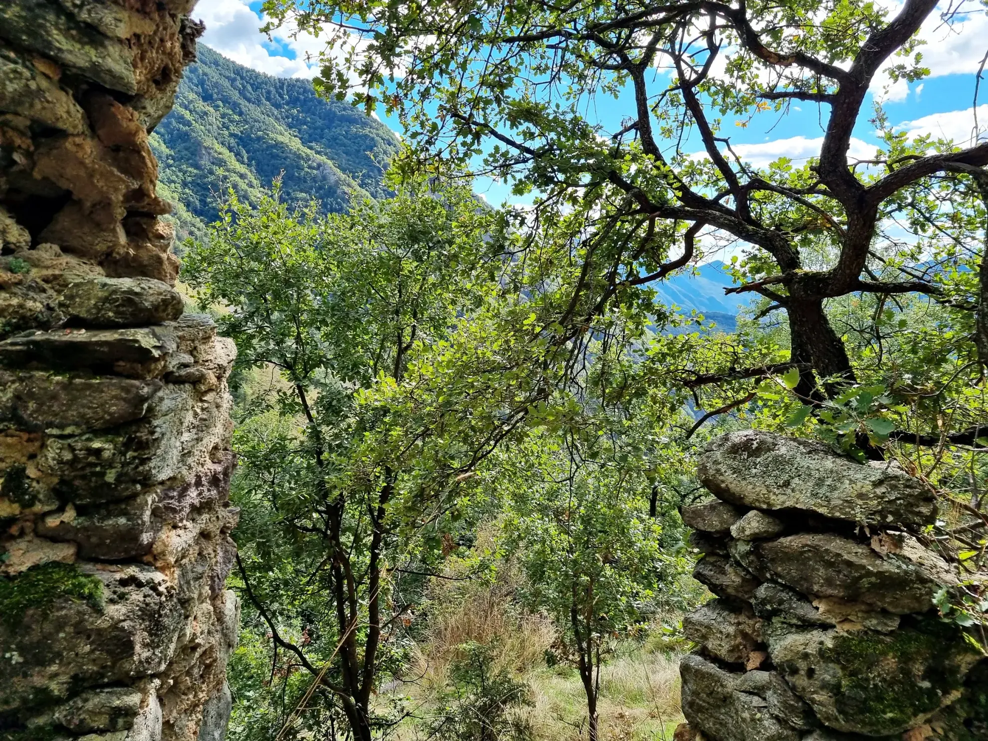 Terrain de Loisir de 1 252 m² avec Cabanons aux Adrets 