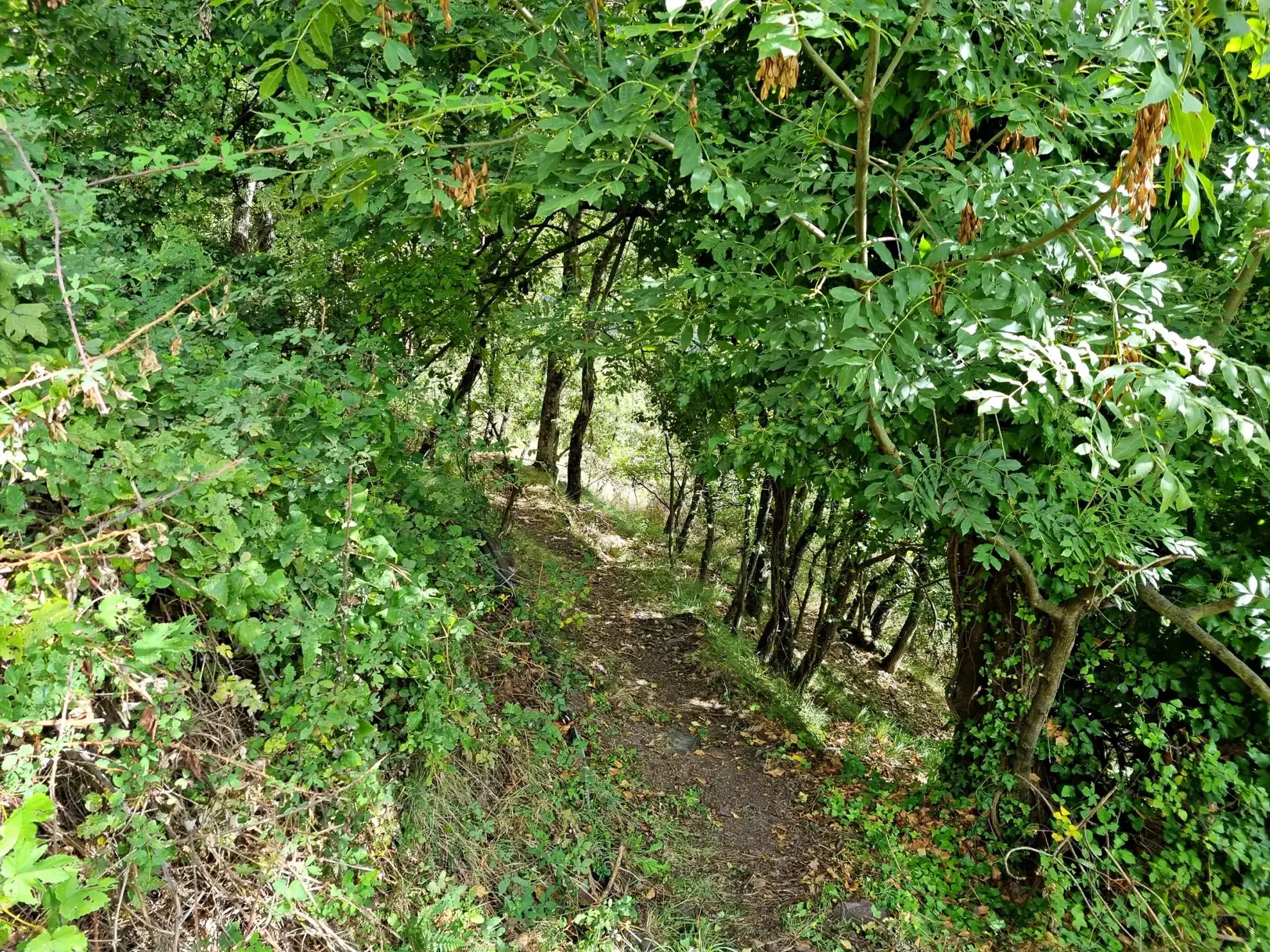 Terrain de Loisir de 1 252 m² avec Cabanons aux Adrets 