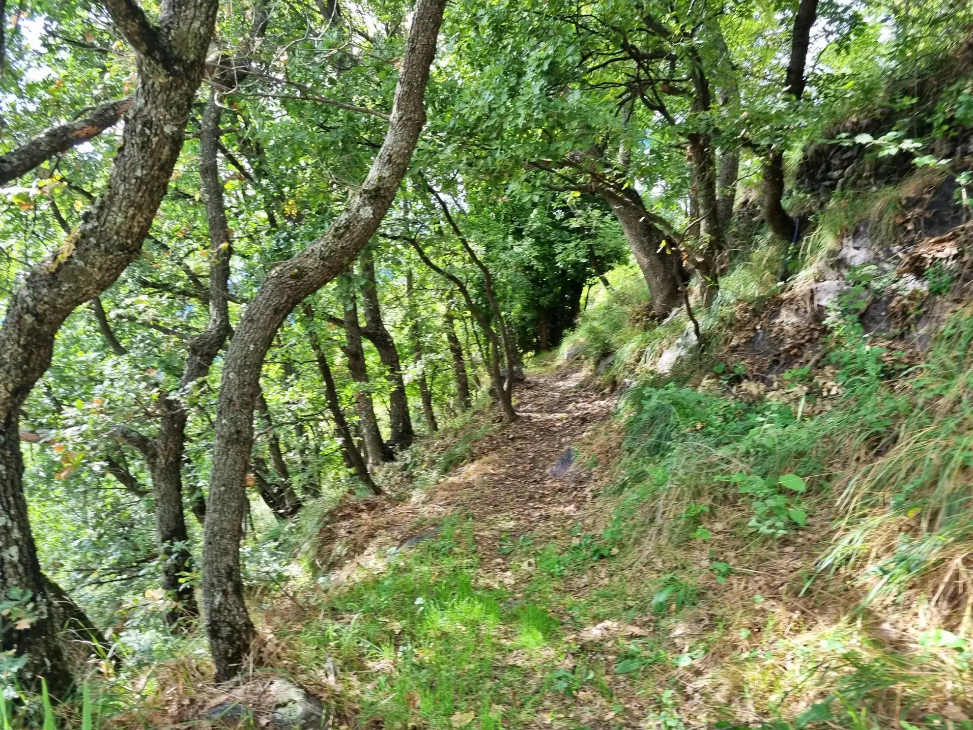 Terrain de Loisir de 1 252 m² avec Cabanons aux Adrets 