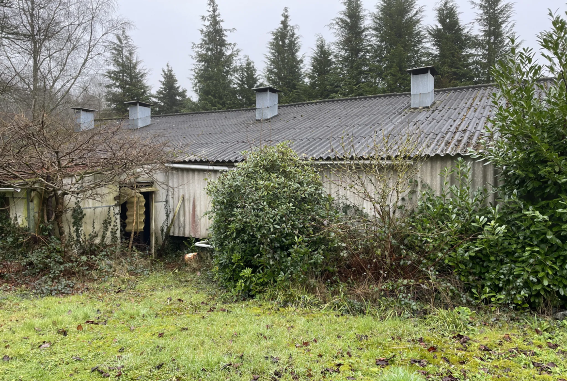 Maison à vendre à la campagne de Pontivy avec dépendance et terrain de 18 460 m² 