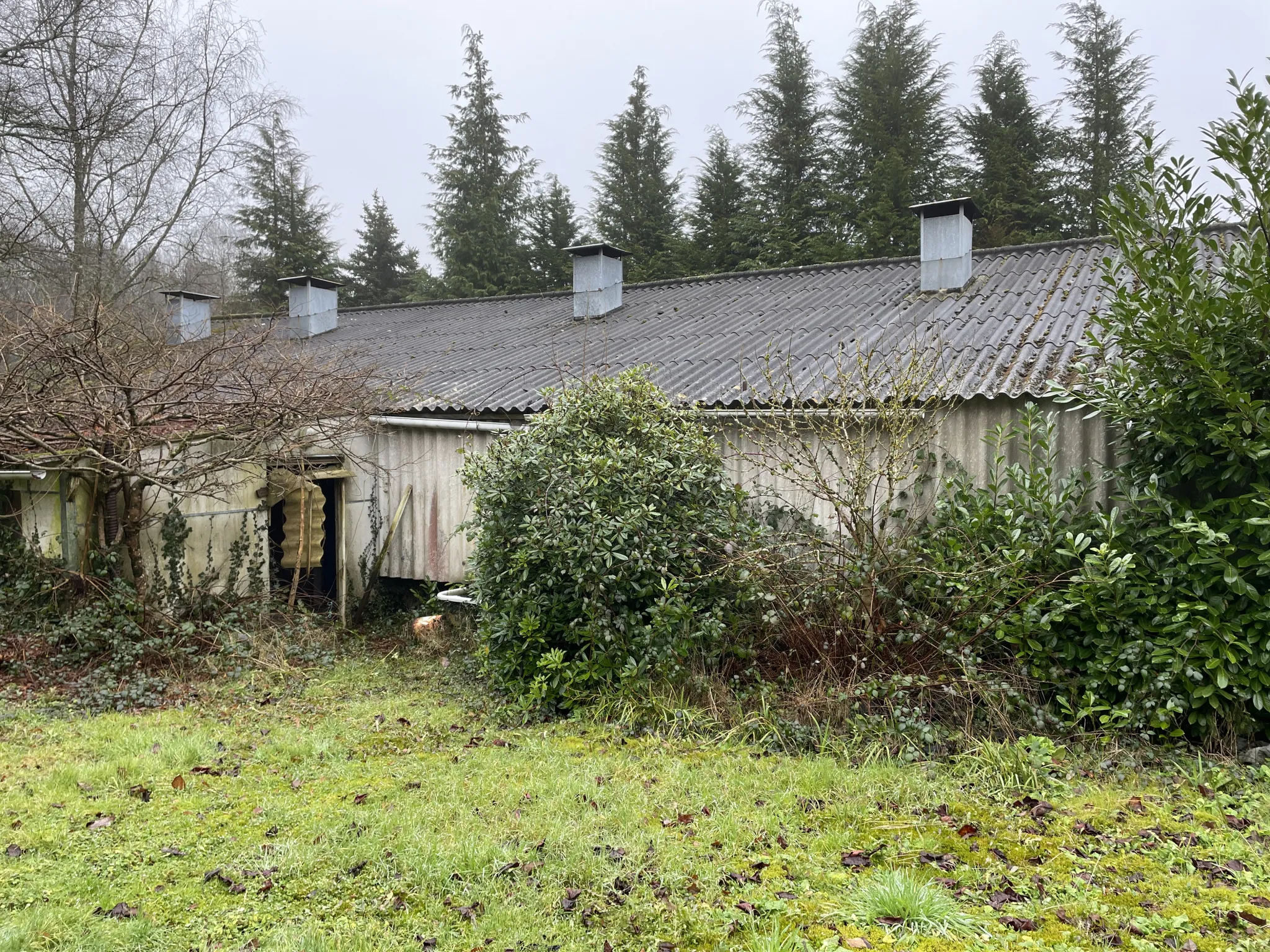 Maison à vendre à la campagne de Pontivy avec dépendance et terrain de 18 460 m² 