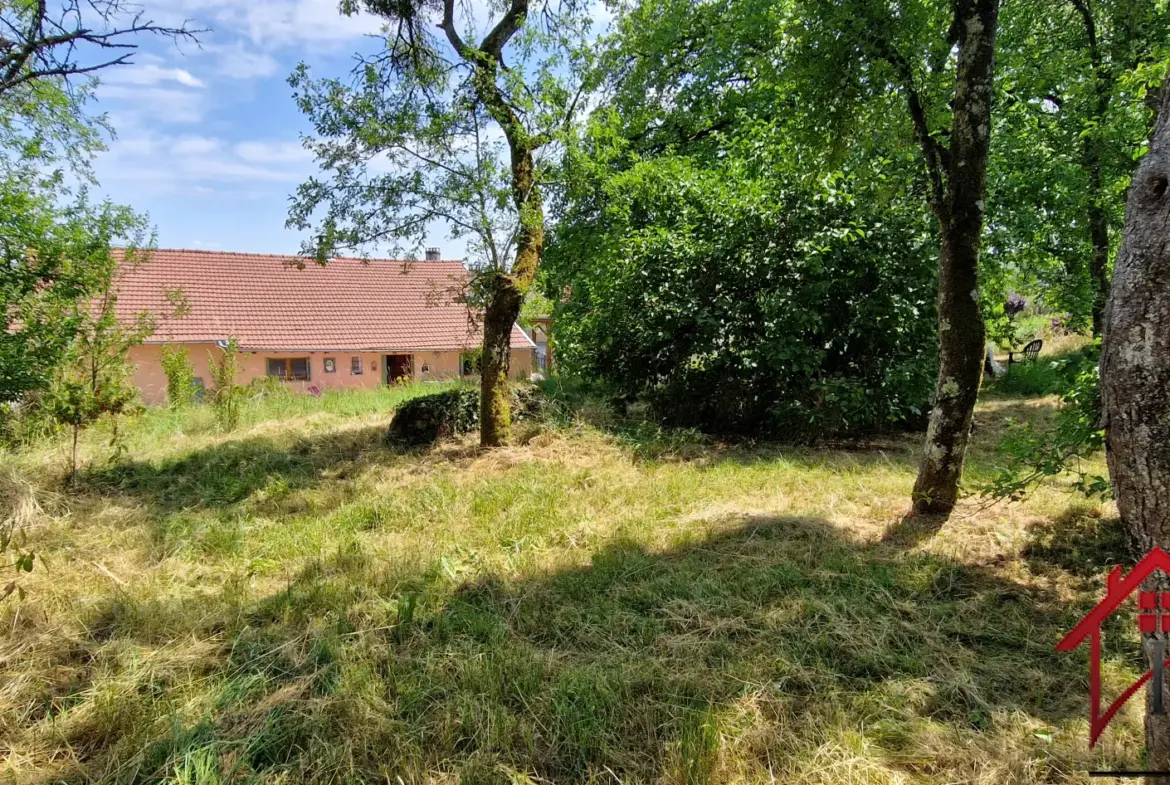 Maison meublée de 1858 à vendre en Haute-Marne 