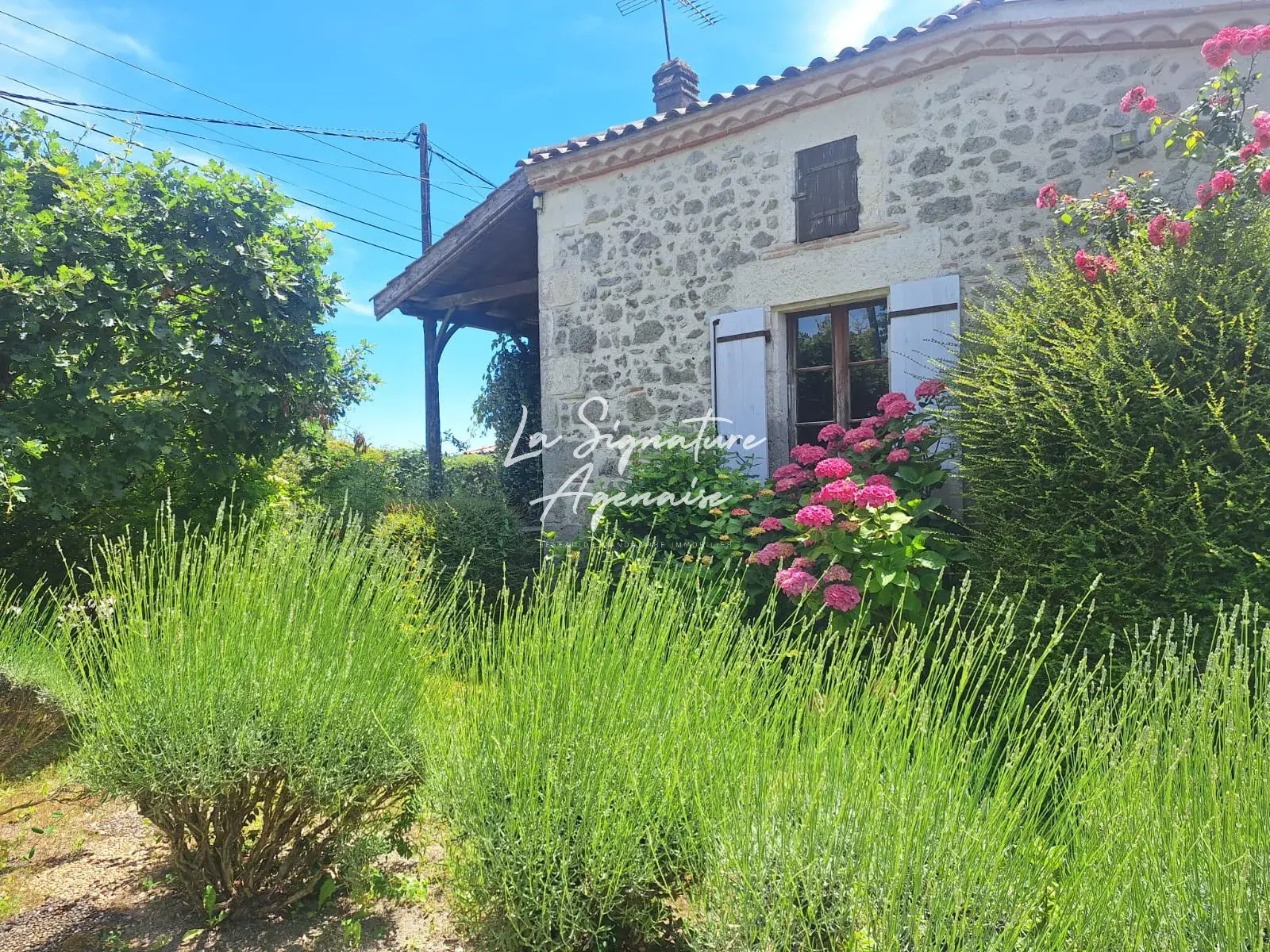 Charmante maison en pierre avec piscine et pigeonnier à Prayssas 