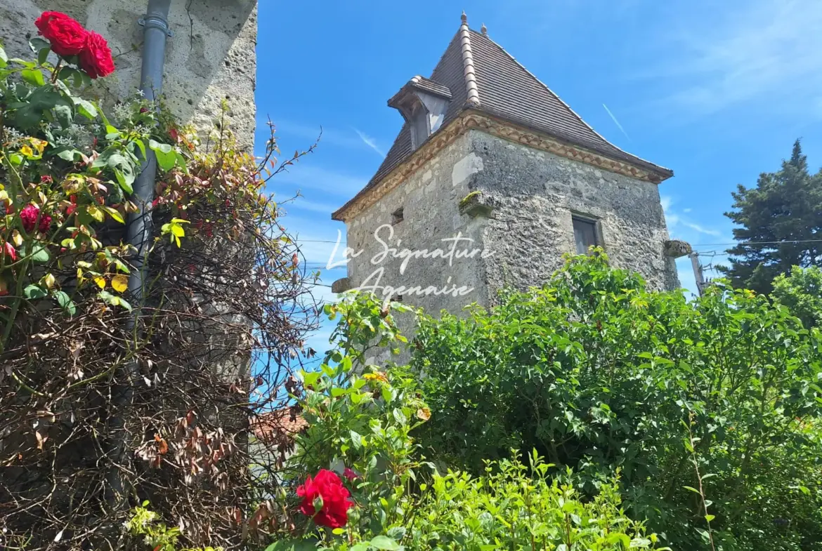 Charmante maison en pierre avec piscine et pigeonnier à Prayssas 