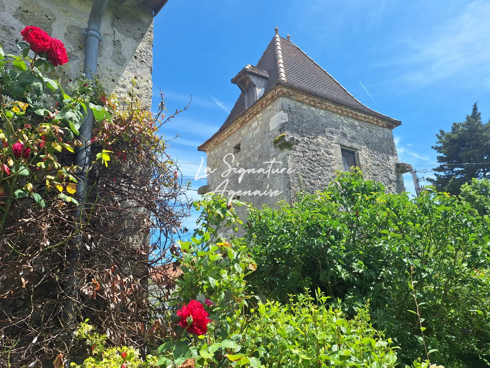 Charmante maison en pierre avec piscine et pigeonnier à Prayssas 