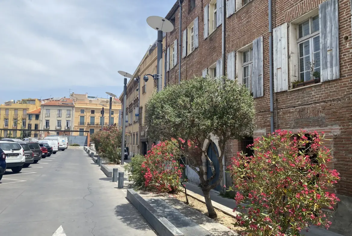 Appartement Atypique avec Terrasse à Vendre à Perpignan 