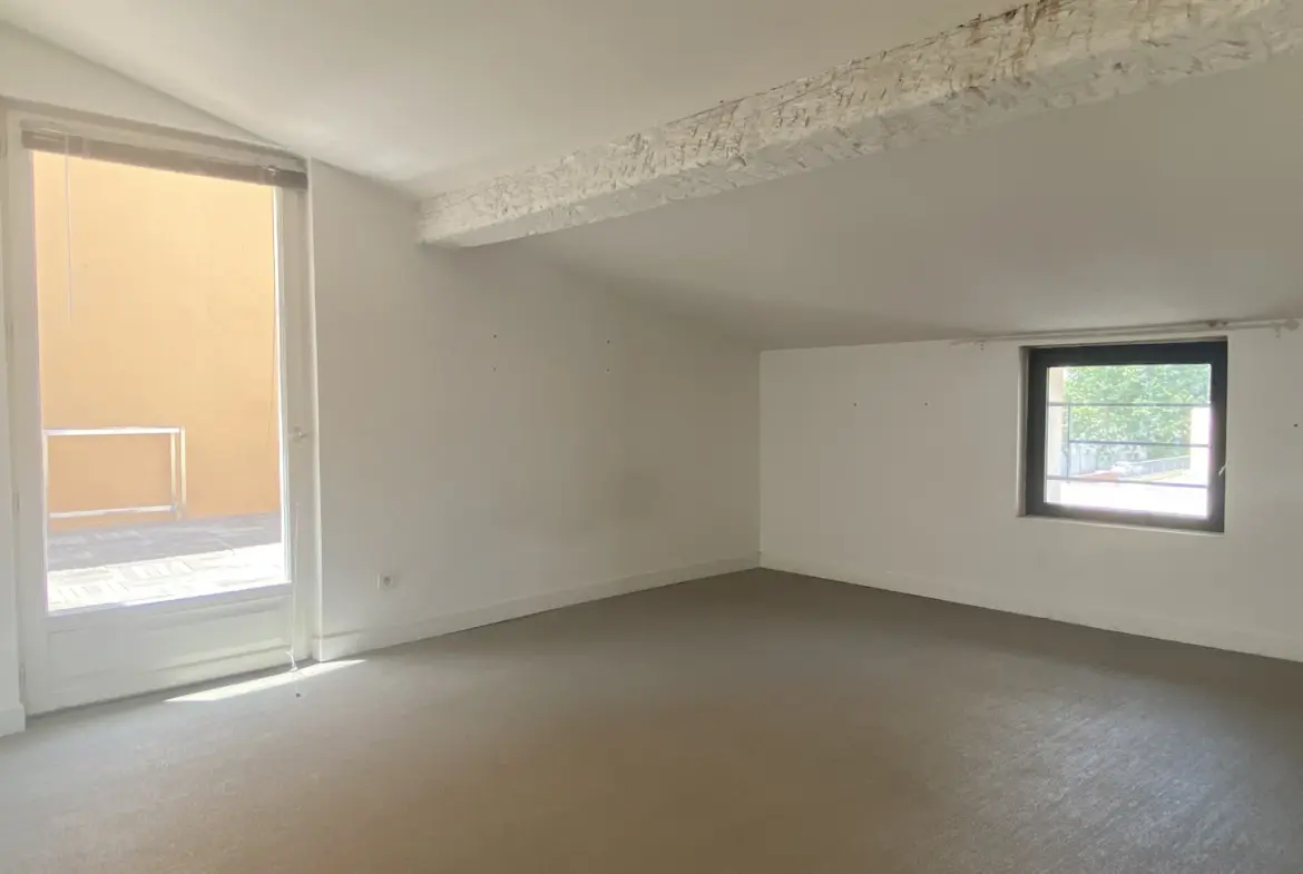 Appartement Atypique avec Terrasse à Vendre à Perpignan 