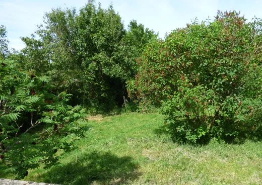 Maison de village T6 avec jardin à Colombey-les-Belles 