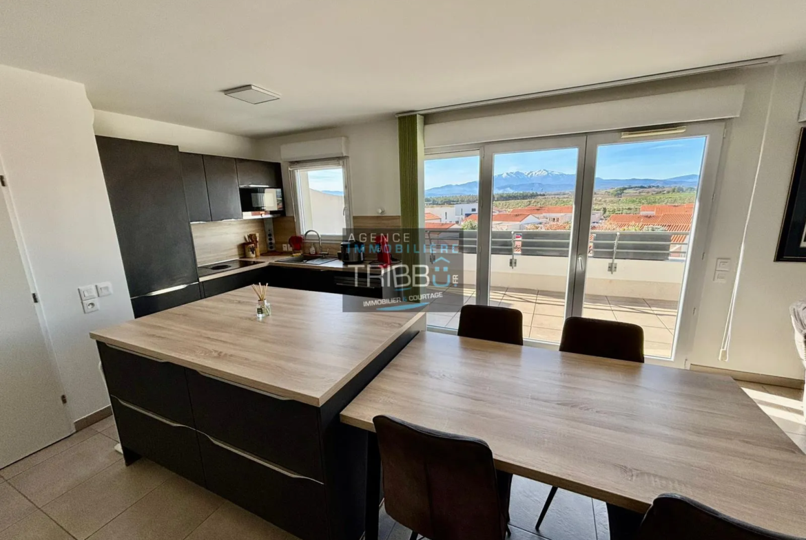 Appartement F3 avec Terrasse et Vue sur le Canigou à Pollestres 