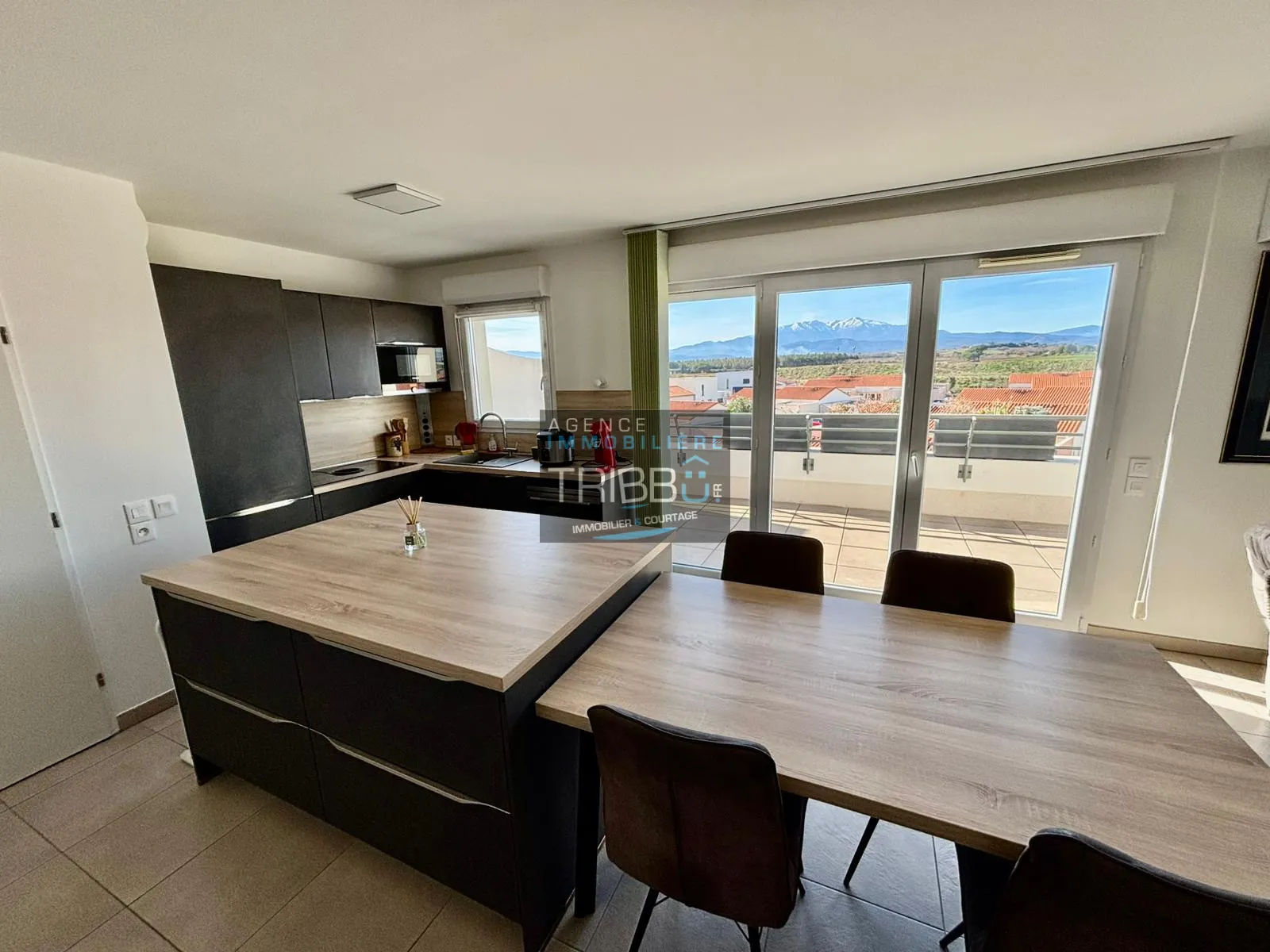 Appartement F3 avec Terrasse et Vue sur le Canigou à Pollestres 