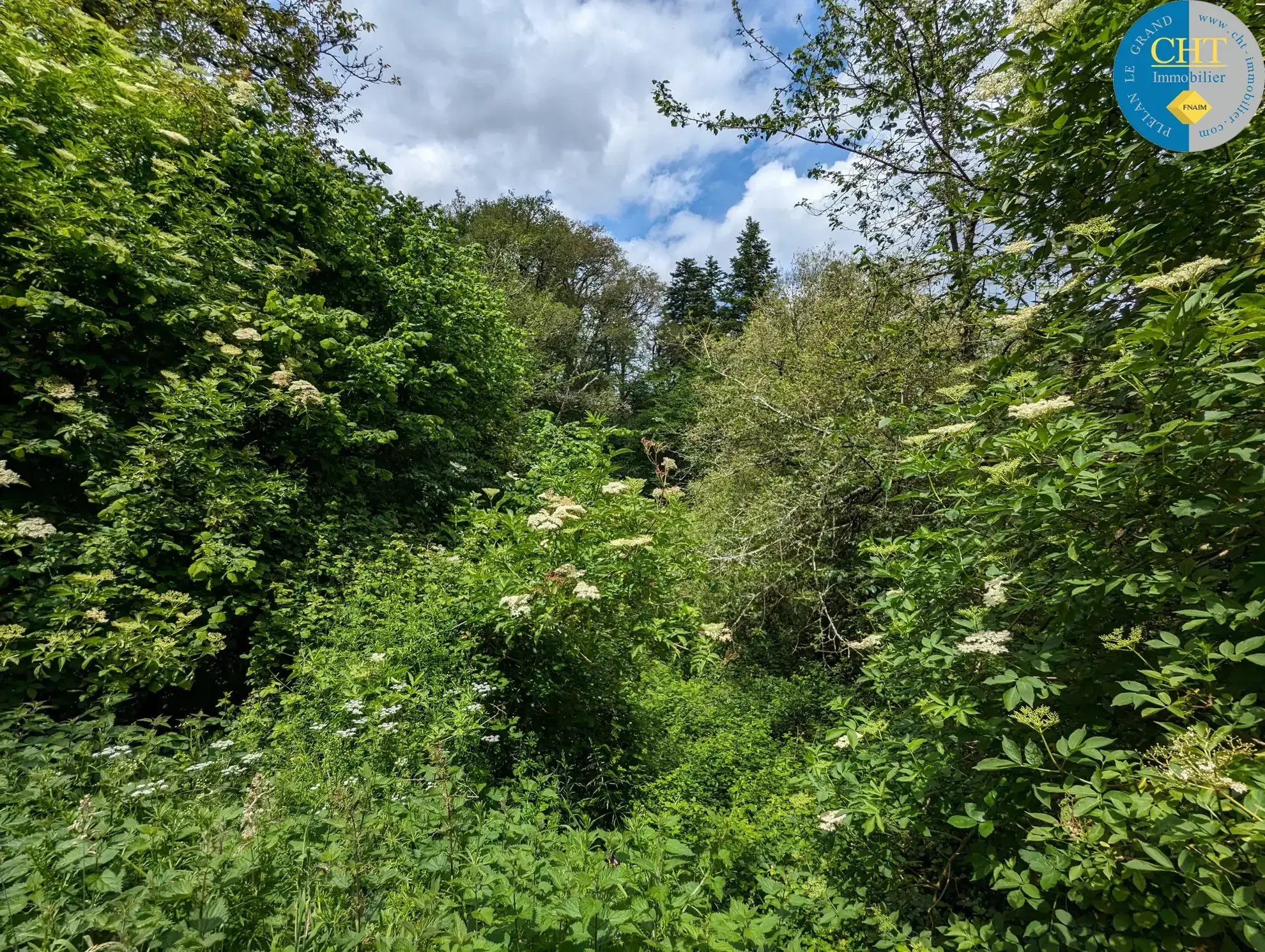 Maison en pierres avec 3 chambres à Beignon, Brocéliande 