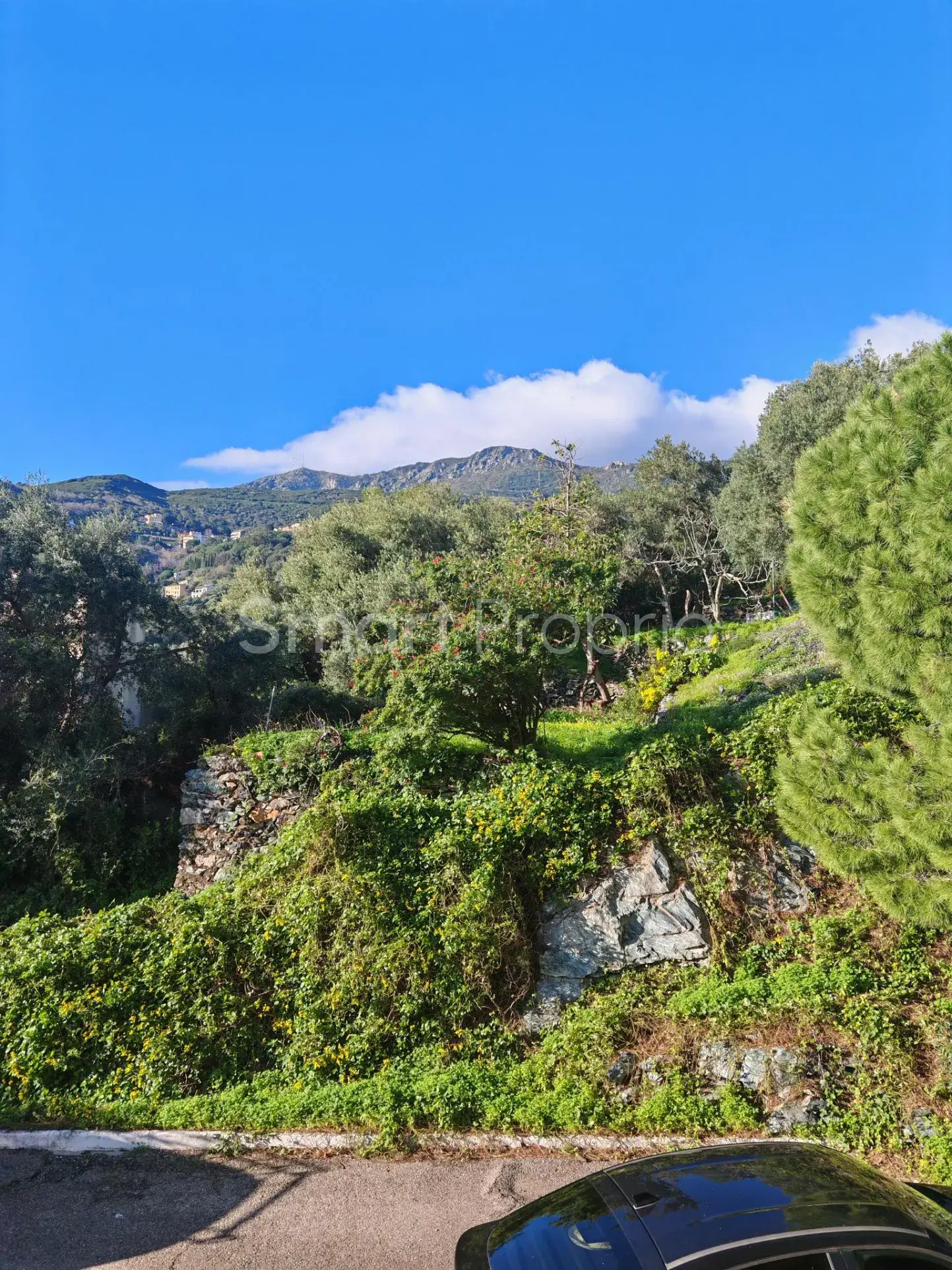 Appartement T3 avec vue mer à Bastia - Le Fango 