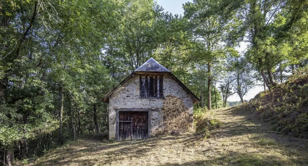 Grange foraine à rénover à Astugue en vente 