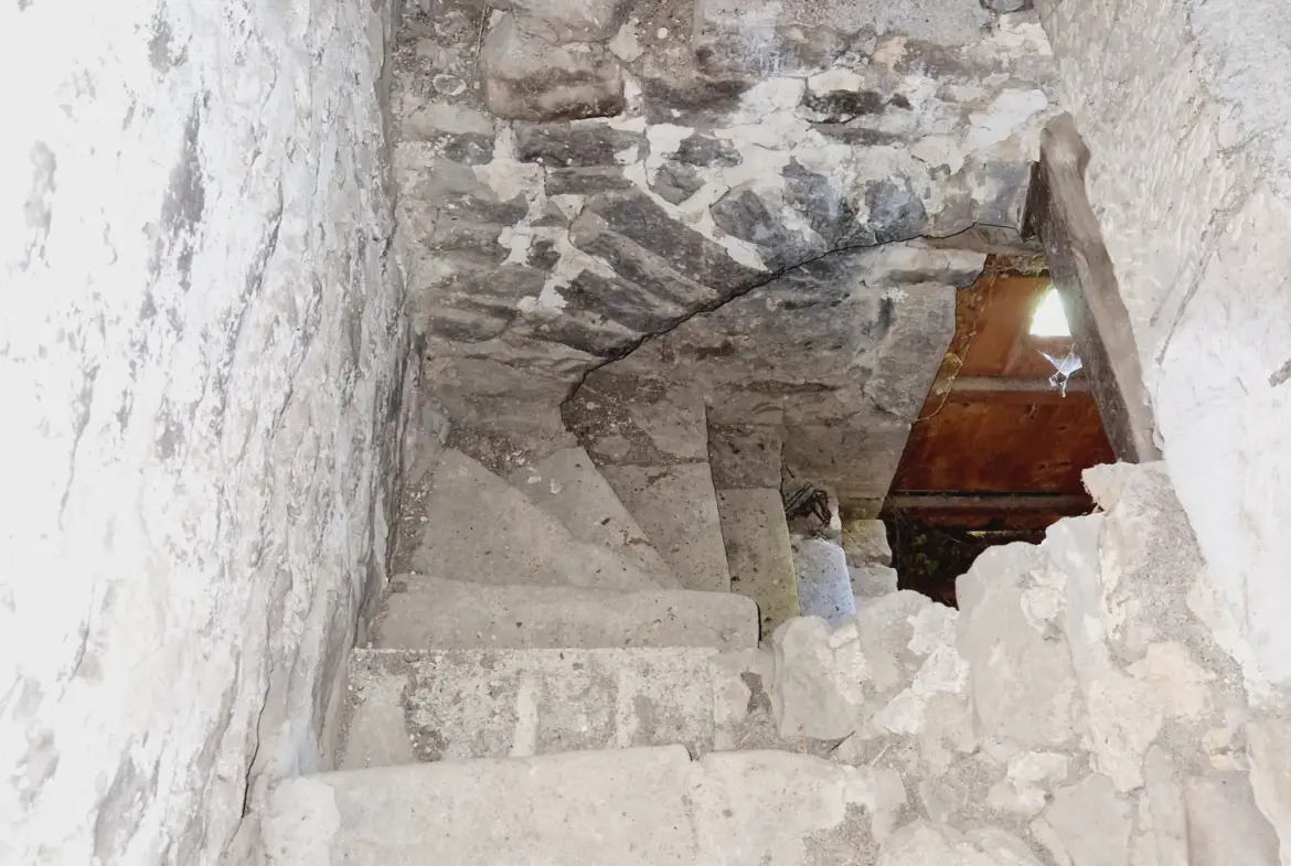 Maison Vigneronne Historique à Chatillon-sur-Saône avec Vue Exceptionnelle 