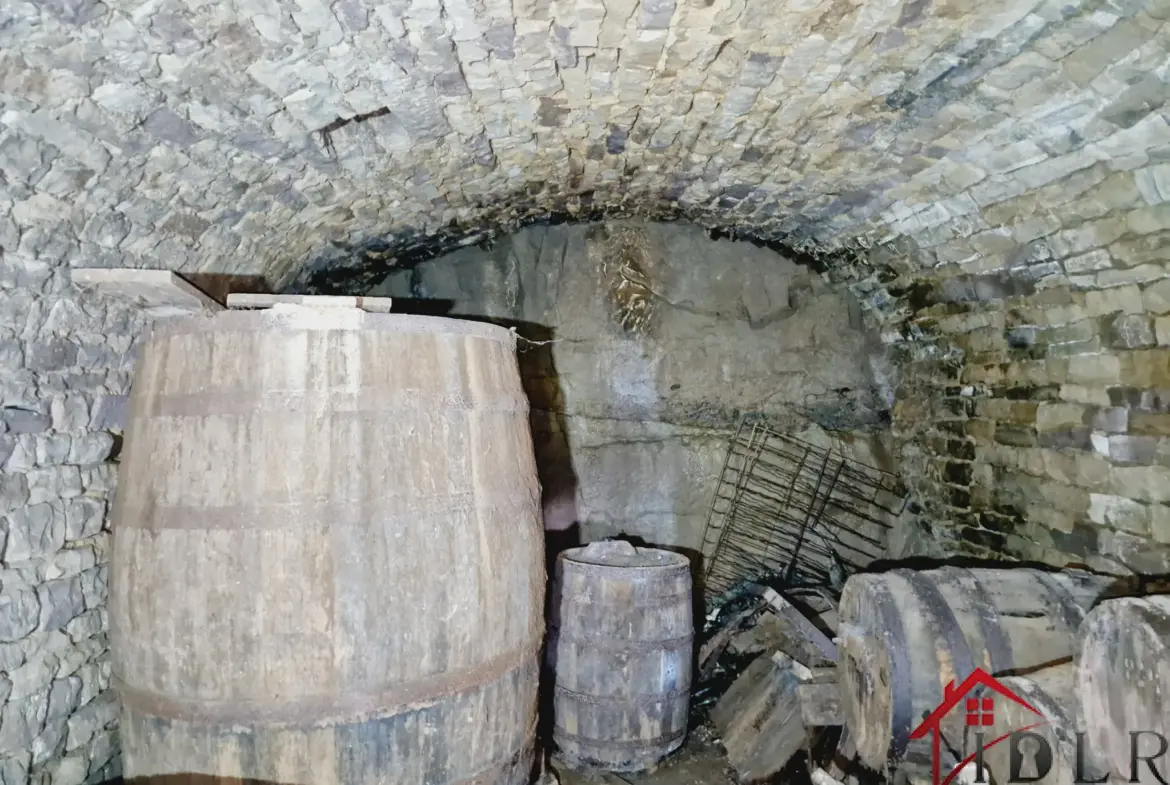 Maison Vigneronne Historique à Chatillon-sur-Saône avec Vue Exceptionnelle 