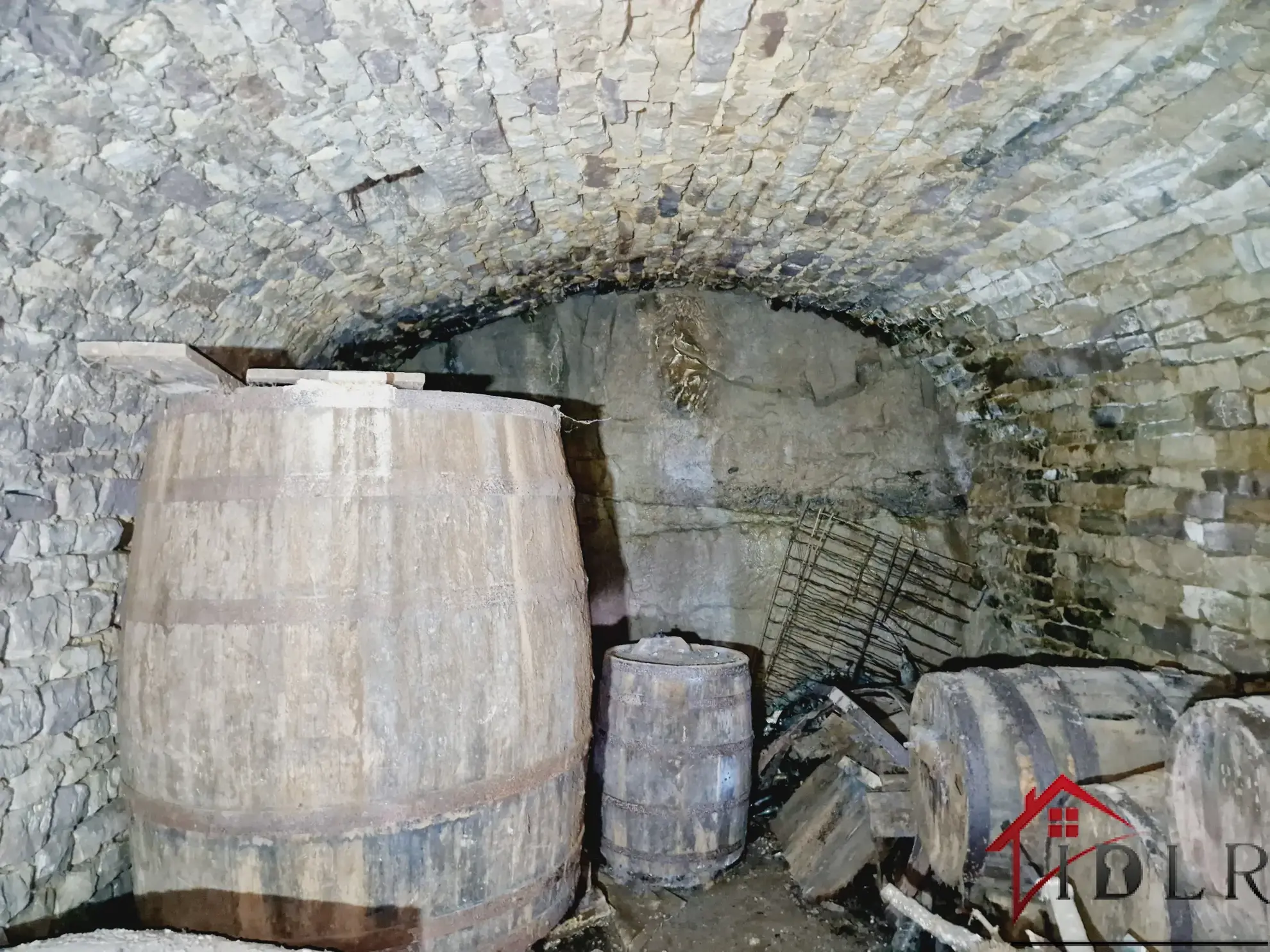 Maison Vigneronne Historique à Chatillon-sur-Saône avec Vue Exceptionnelle 