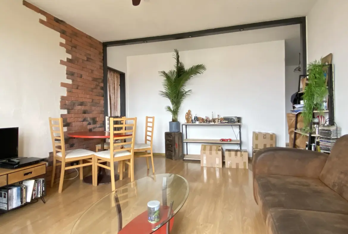 Vente appartement T2 avec vue dégagée à Perpignan centre 