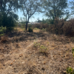 Terrains constructibles de 1100 m² à Morta - Prunelli Di Fium'Orbu