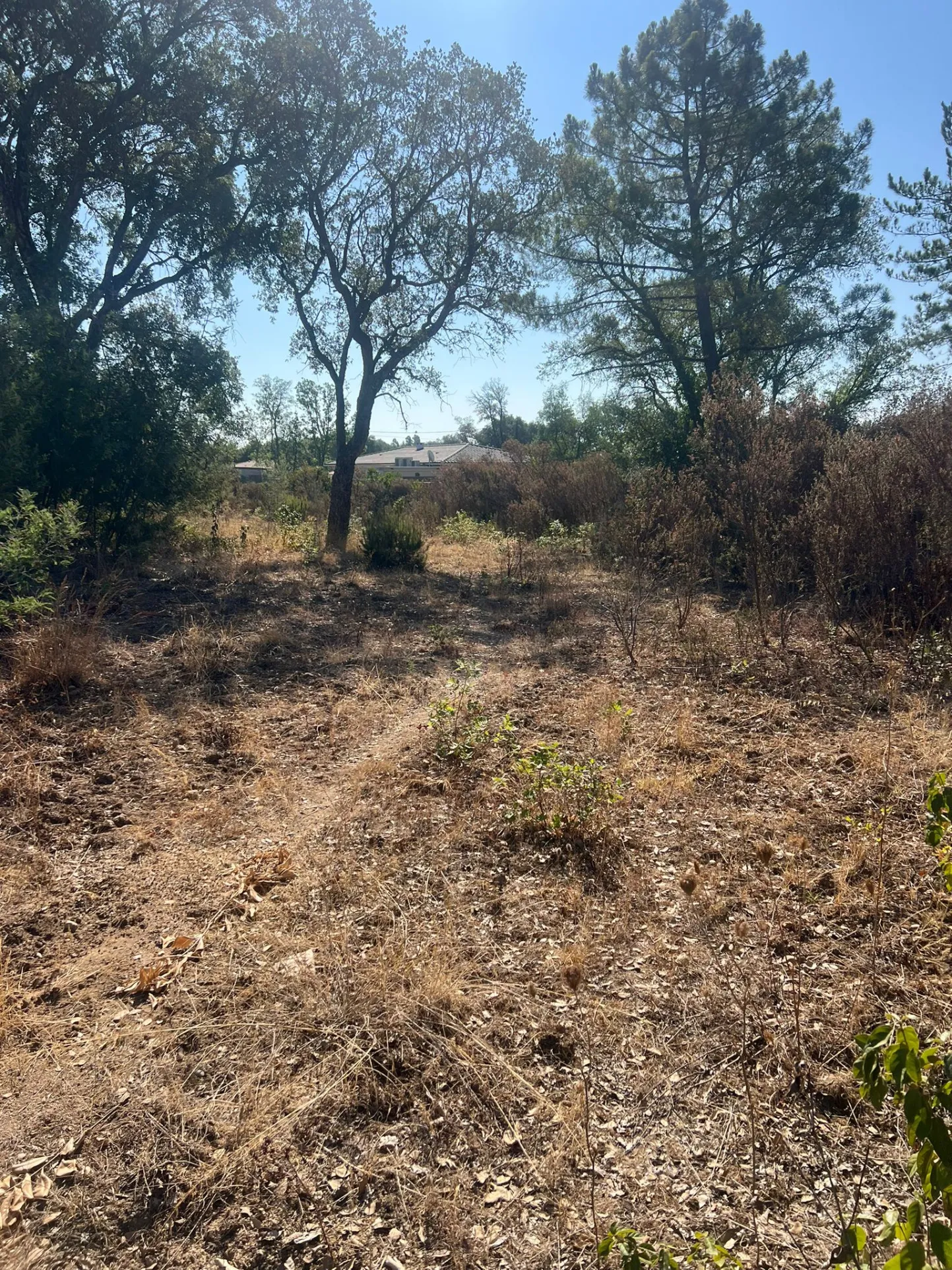 Terrains constructibles de 1100 m² à Morta - Prunelli Di Fium'Orbu 