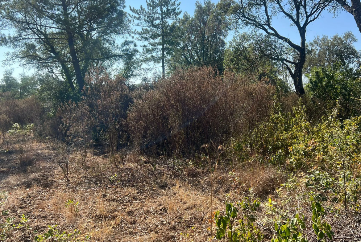 Terrains constructibles de 1100 m² à Morta - Prunelli Di Fium'Orbu 