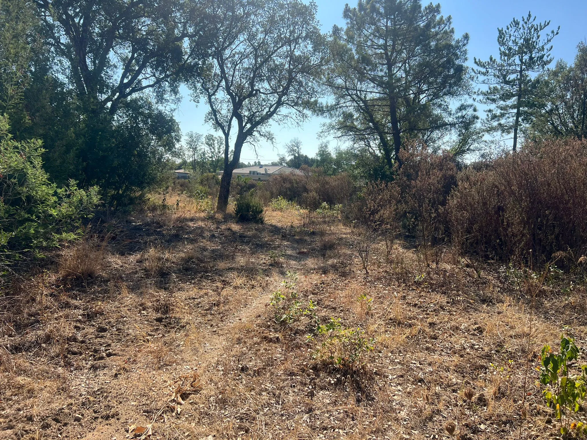 Terrains constructibles de 1100 m² à Morta - Prunelli Di Fium'Orbu 