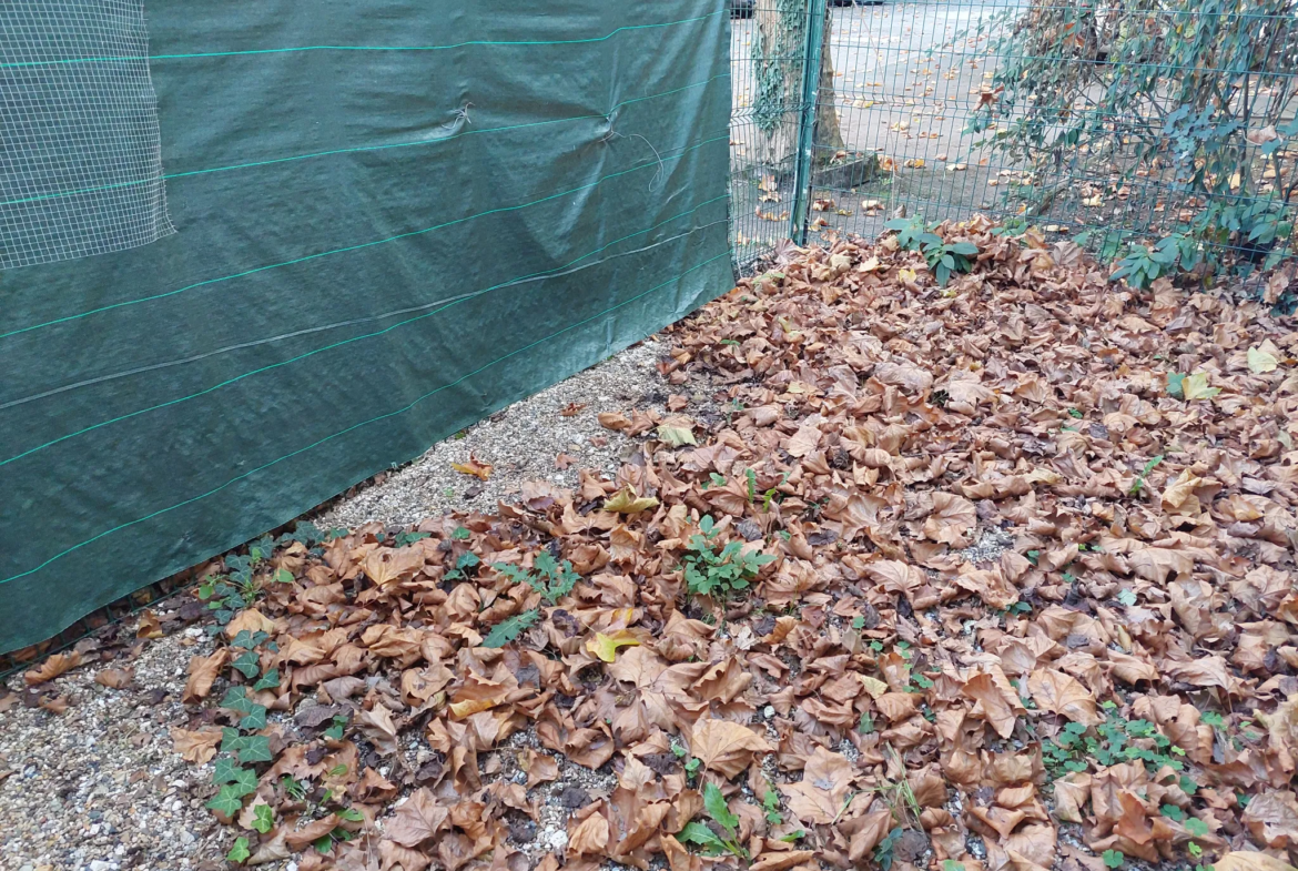 Maison rénovée au cœur de Langon, idéale pour habiter ou investir 