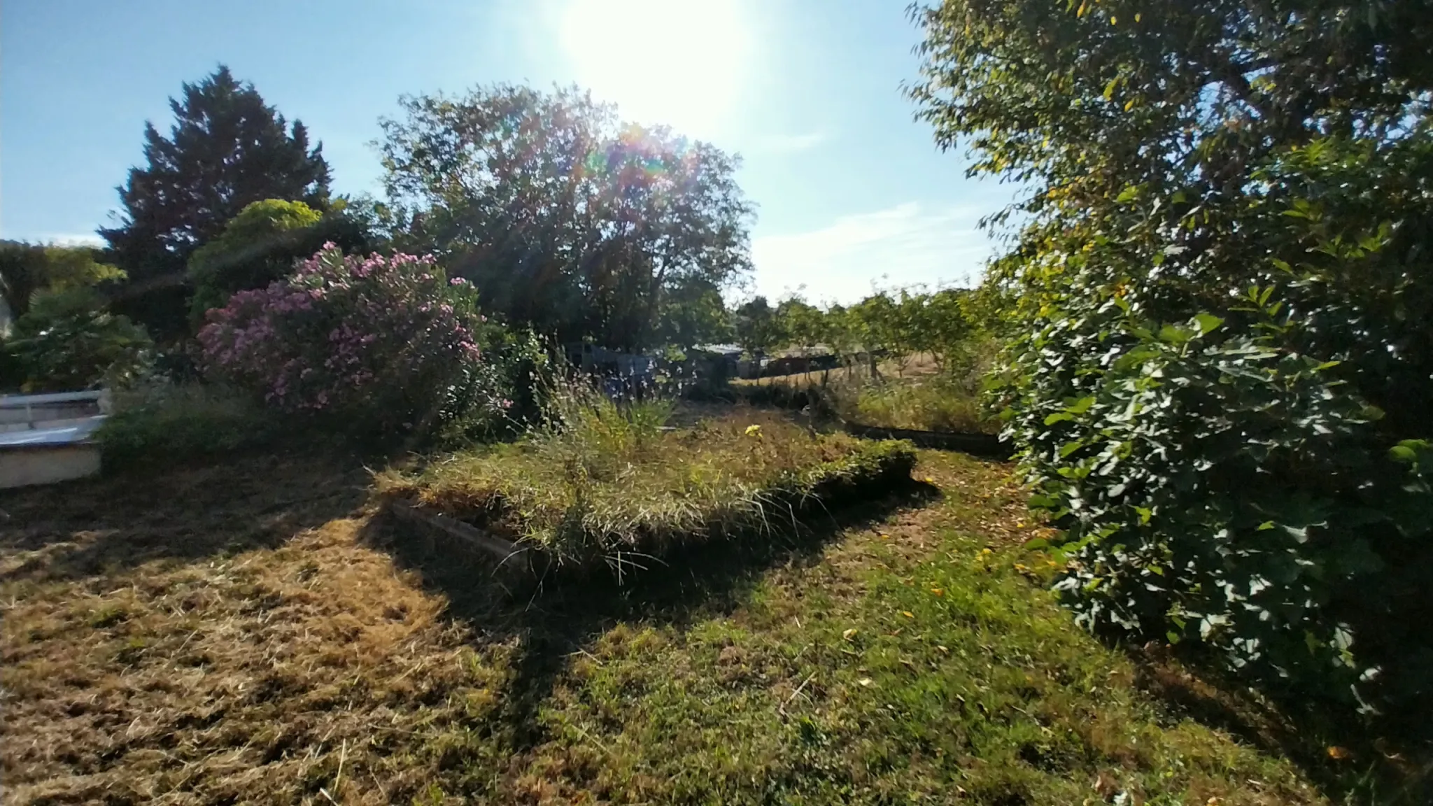 Maison en pierre rénovée avec piscine et jardin à Razac sur l'Isle 