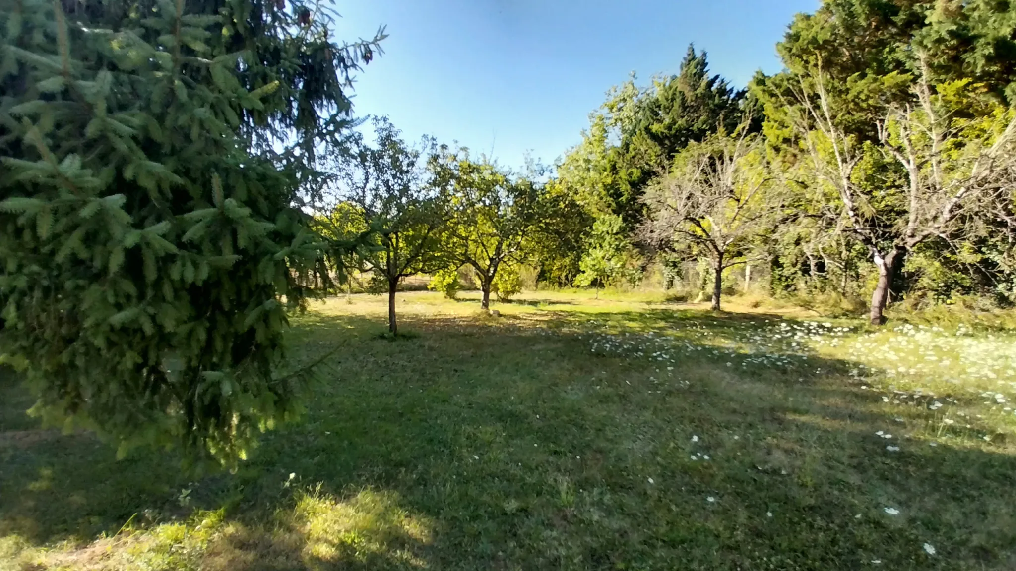 Maison en pierre rénovée avec piscine et jardin à Razac sur l'Isle 