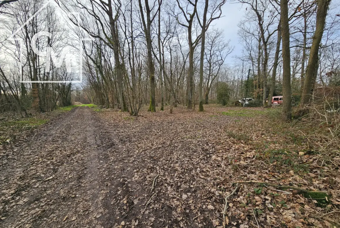 Terrain de loisirs avec chalet à rénover à Ferrières-en-Gâtinais 