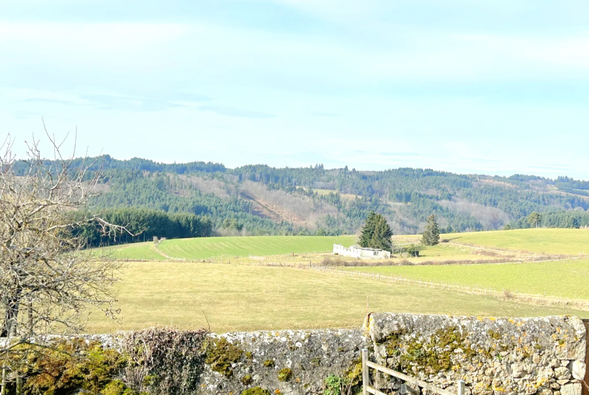 Maison de Ville à Rozier-Côtes-d'Aurec avec Jardin et Hangar 