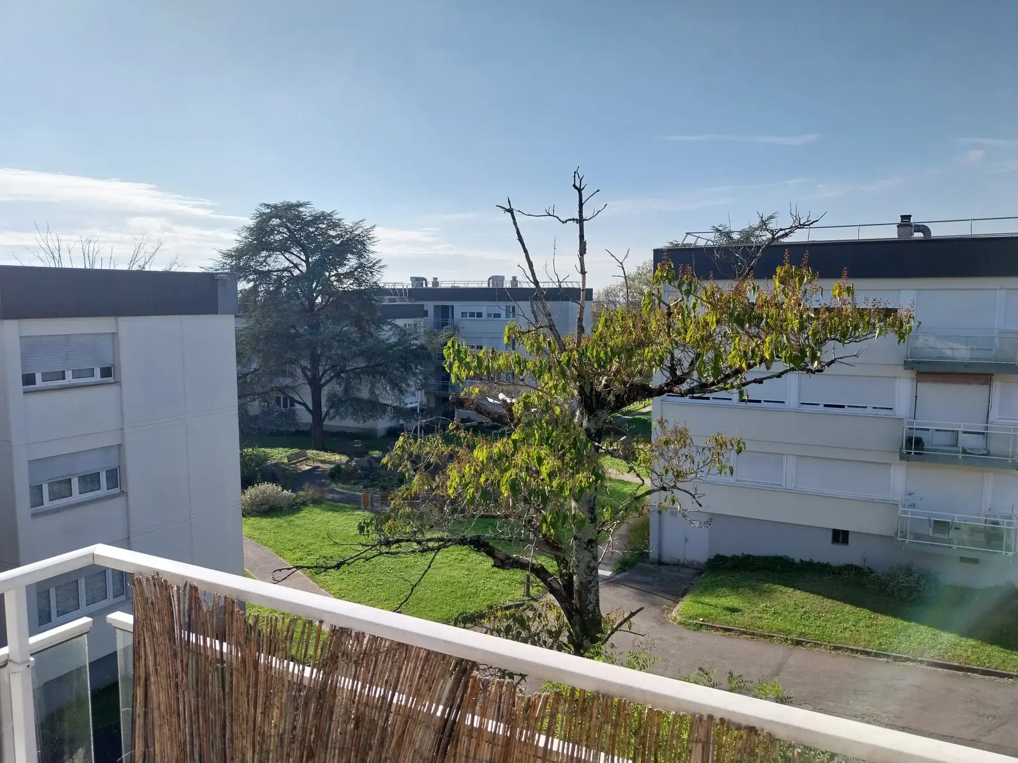 Appartement F3 lumineux avec balcon à Cognac 