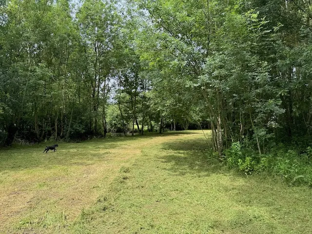 Terrain de loisirs en bord de rivière à Ste Hermine 