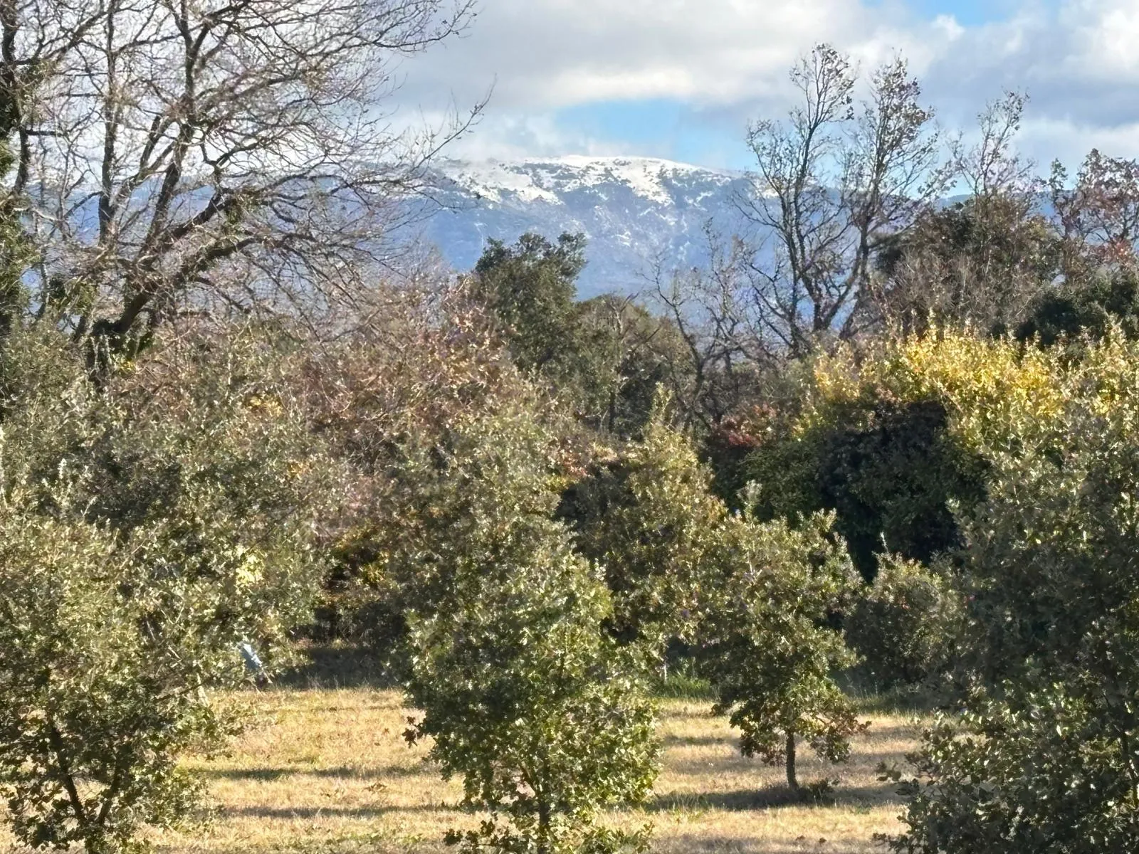 Terrain à bâtir de 1205 m² à Grignan - Rare en campagne 