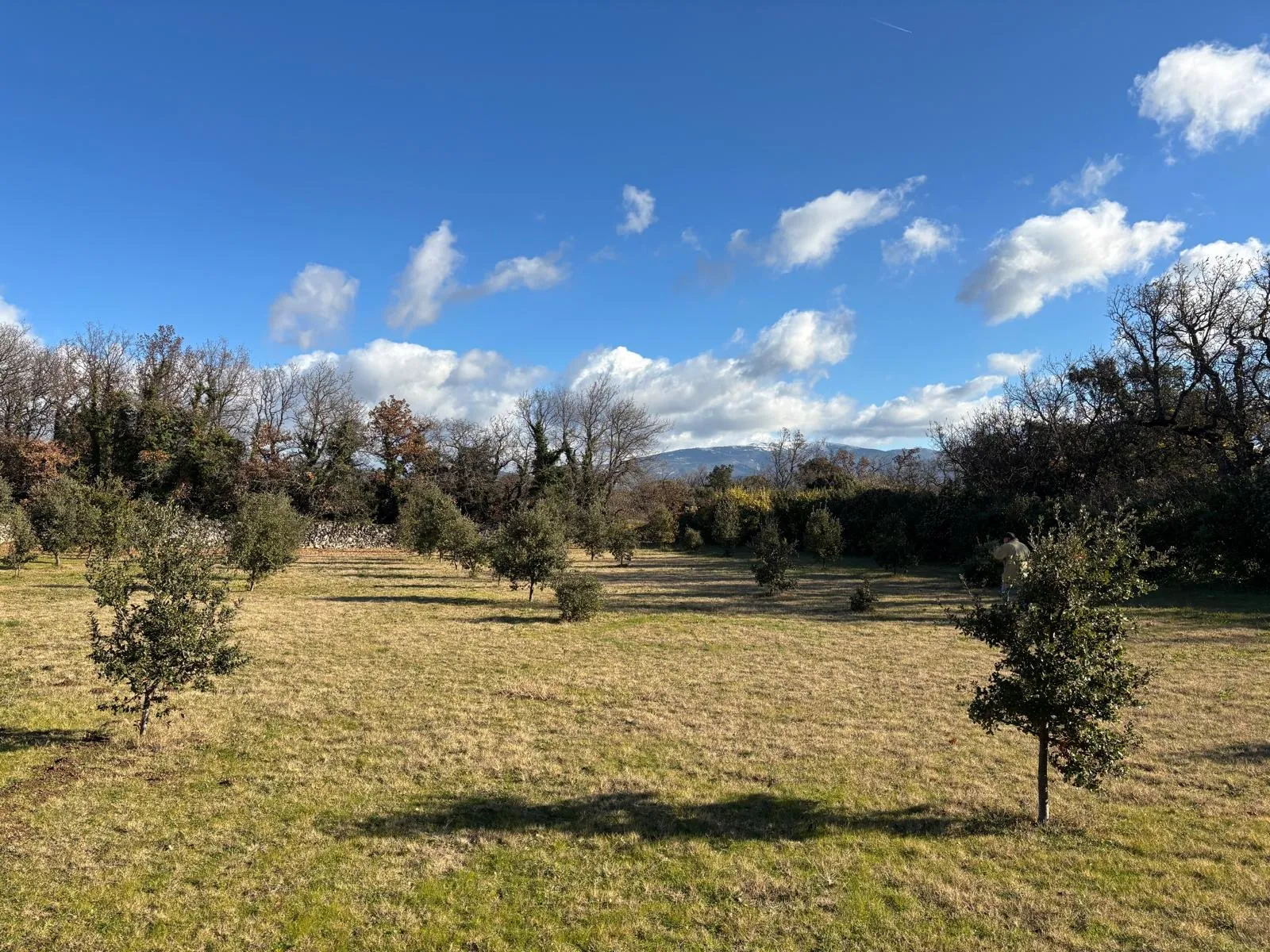 Terrain à bâtir de 1205 m² à Grignan - Rare en campagne 