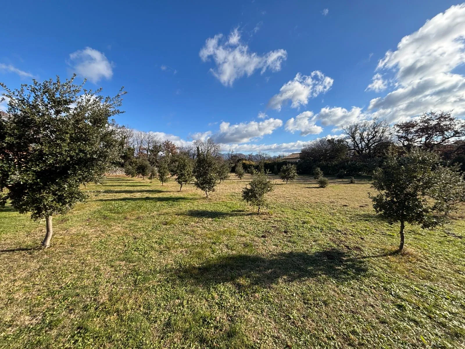 Terrain à bâtir de 1205 m² à Grignan - Rare en campagne 