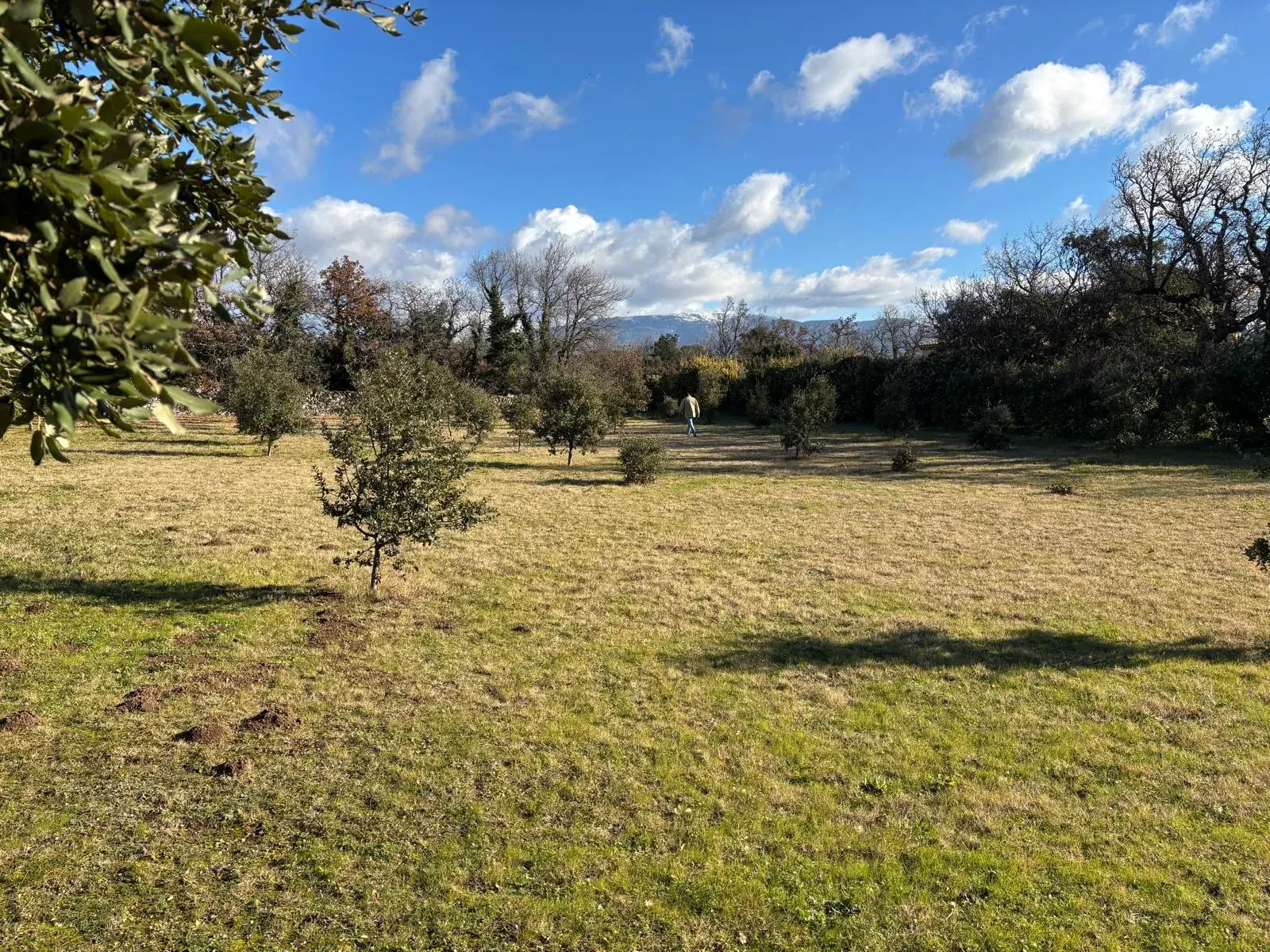 Terrain à bâtir de 1205 m² à Grignan - Rare en campagne 