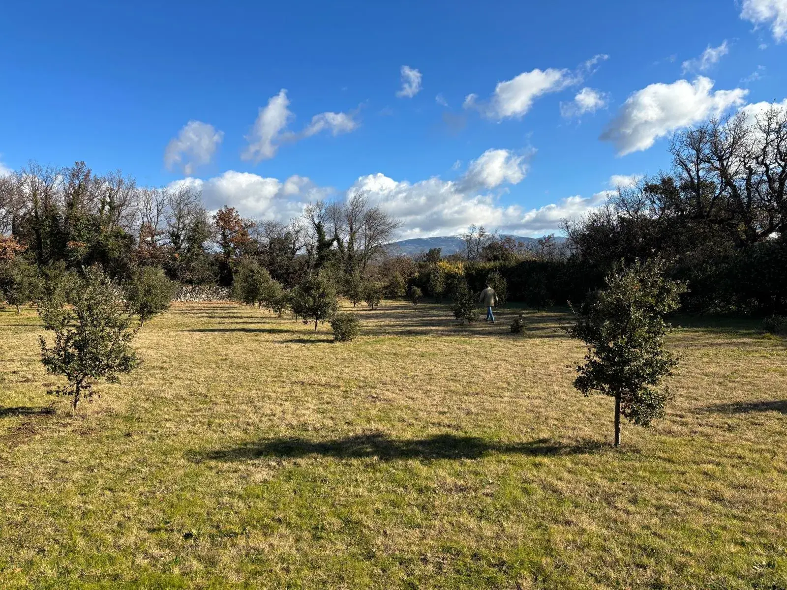 Terrain à bâtir de 1205 m² à Grignan - Rare en campagne 