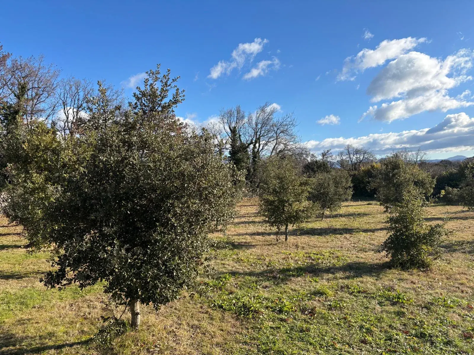 Terrain à bâtir de 1205 m² à Grignan - Rare en campagne 